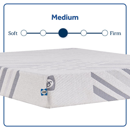 Carrington Chase - Murry Hill Medium Mattress