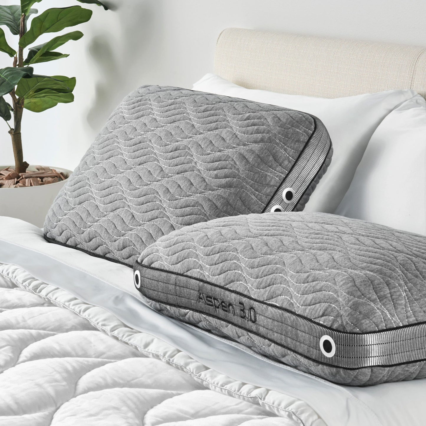 Aspen Performance - King Pillow