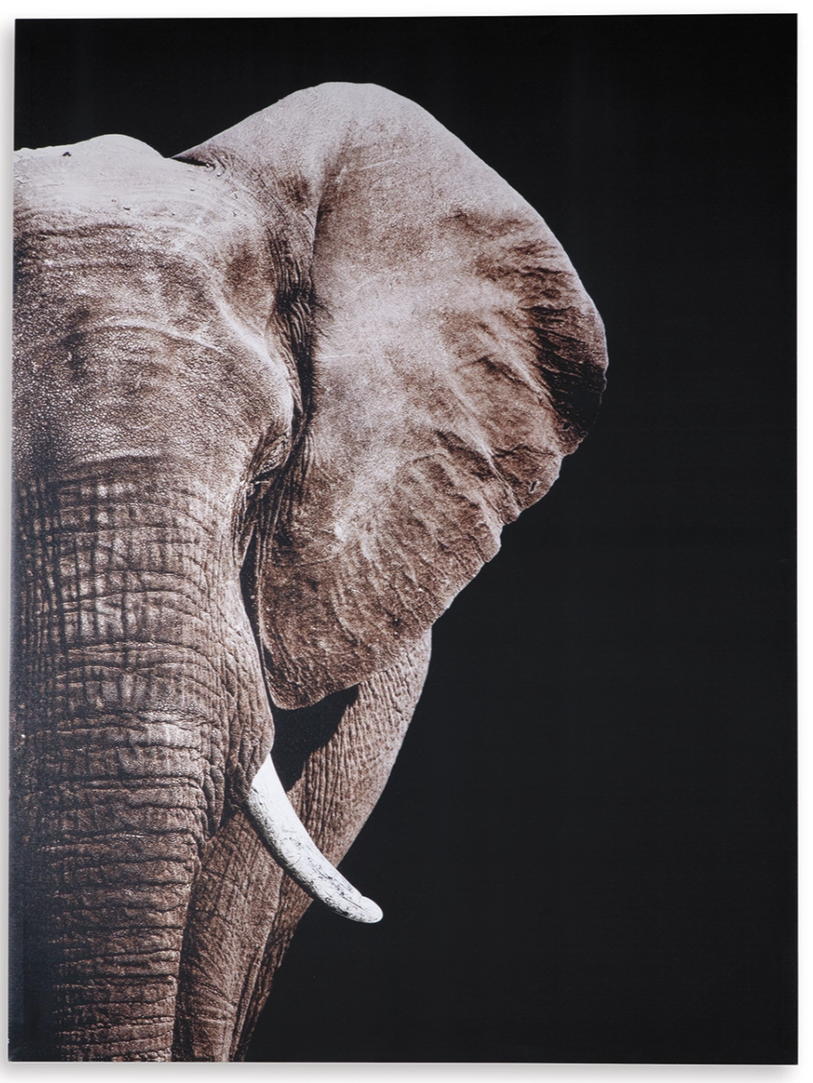Jendayi Wall Art