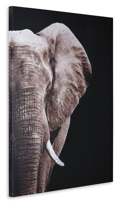 Jendayi Wall Art