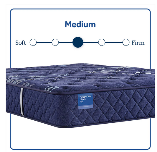 Travelers Rest Medium Tight Top Mattress - QUEEN