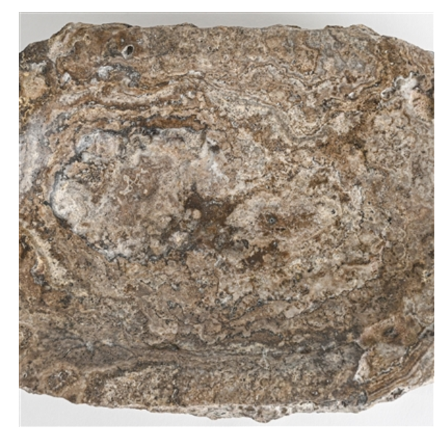 Grey Travertine Rough Organic Shaped Edged Bowl - Grey - Grey